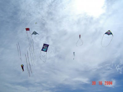Desorg2004_52