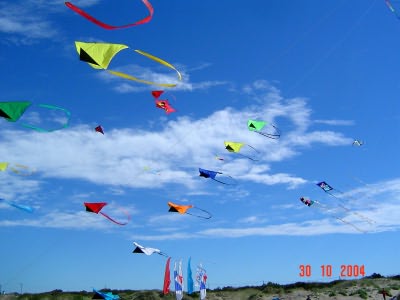 Desorg2004_53