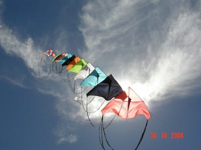 Desorg2004_54