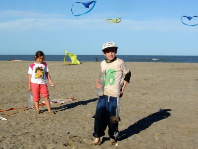 Desorg2004_56