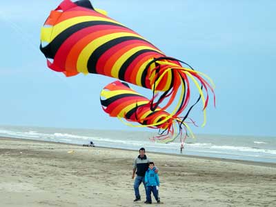 Desorg2004_61