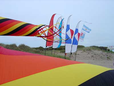 Desorg2004_62