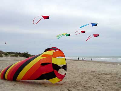 Desorg2004_63