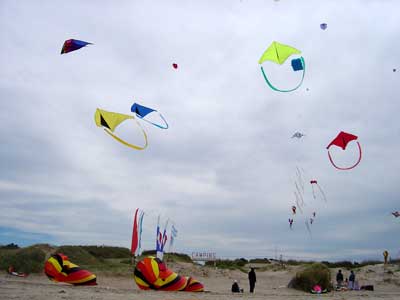 Desorg2004_64