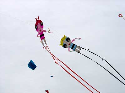 Desorg2004_65