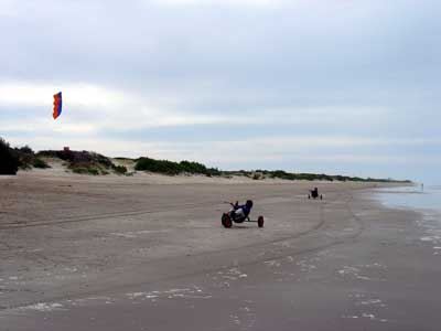 Desorg2004_66
