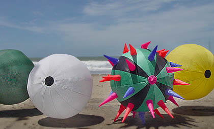 Desorg2003accadorn03