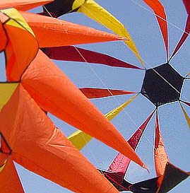 Desorg2003accadorn05