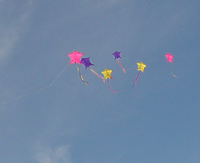 Desorg2003arcostrenes16