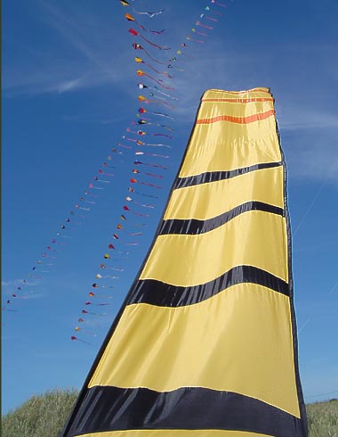Desorg2003arcostrenes19