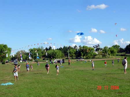 Colon31