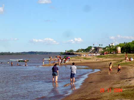 Colon33