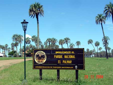 Colon47