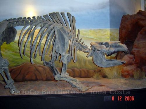 Museo Paleontológico - Trelew