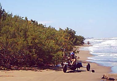 Desorg2003buggys03