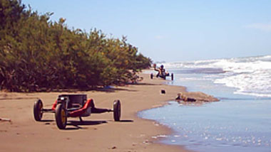 Desorg2003buggys04