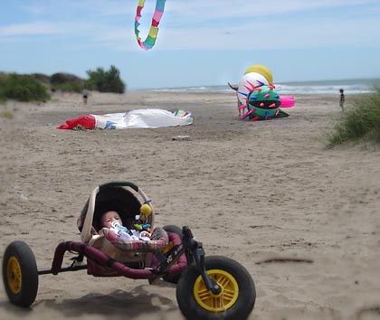 Desorg2003buggys05