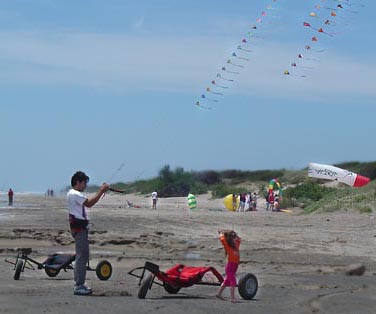 Desorg2003buggys06