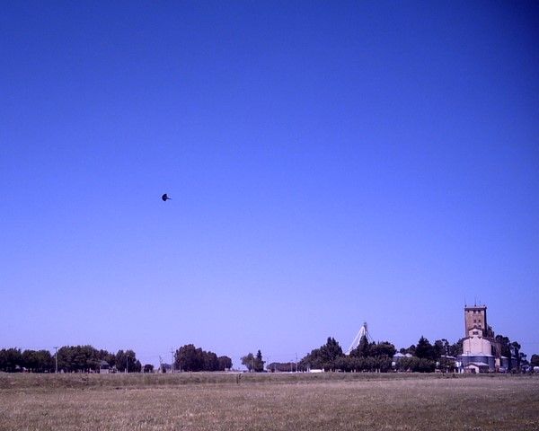 Dlgarma0128