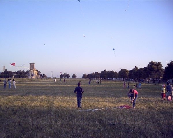 Dlgarma0133