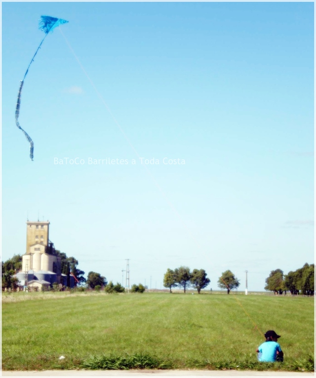 Delagarmavuelo16