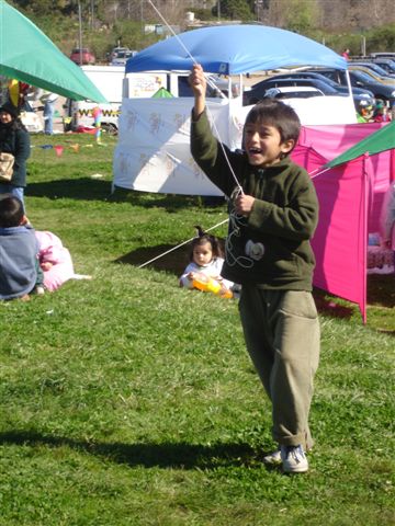 Ninio15