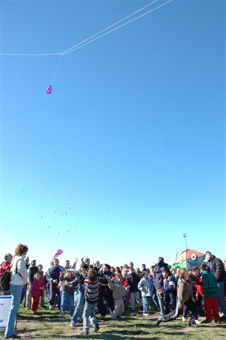 Ninio200506