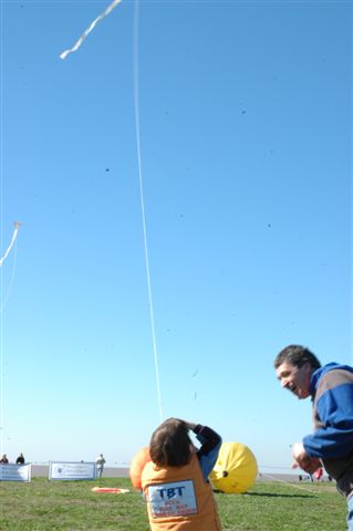 Ninio200523