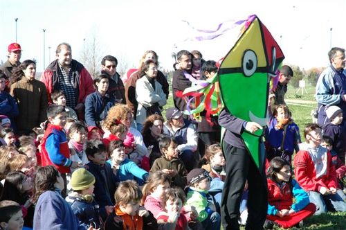 Ninio200532