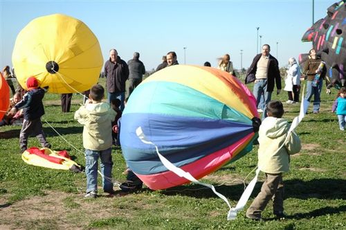 Ninio200546