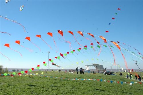 Ninio200554