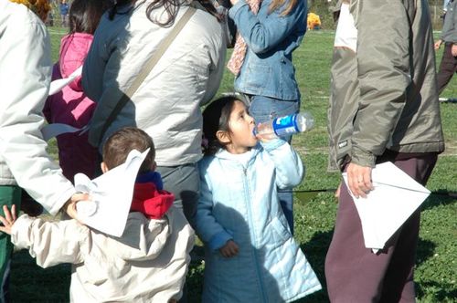 Ninio200555