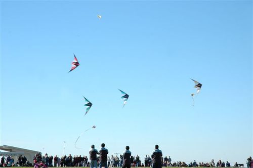 Ninio200559