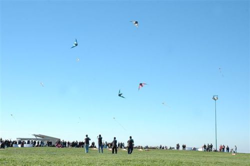 Ninio200560