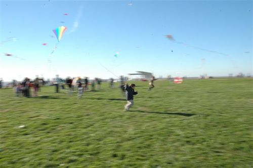 Ninio200561