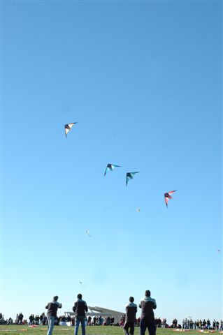 Ninio200568