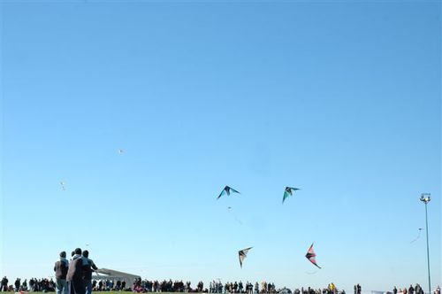 Ninio200569