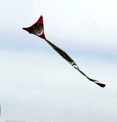 Ubadi200331