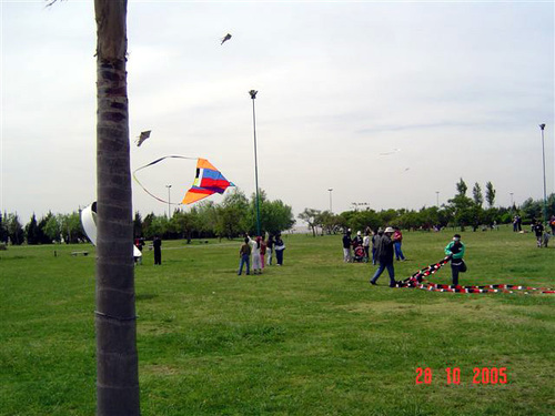 Dsc06944