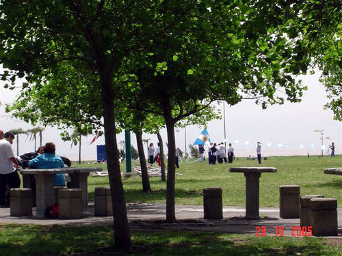 Dsc06961