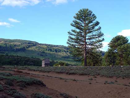 Ruca 30