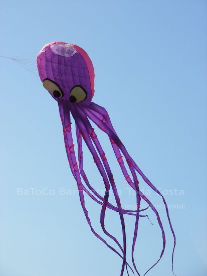 Fviento2006142