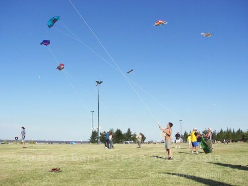 Fviento2006145