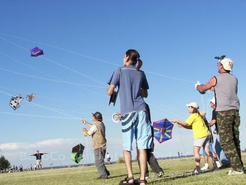 Fviento2006164