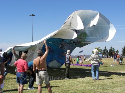 Fviento200617