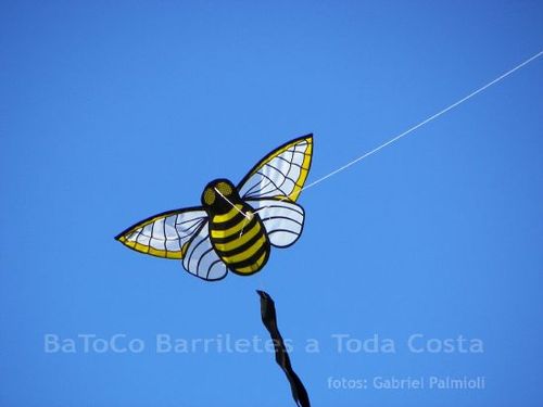 Fviento2006204