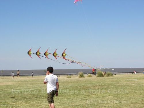 Fviento200636