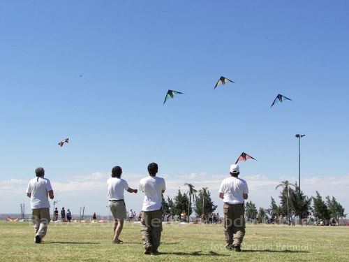 Fviento200647