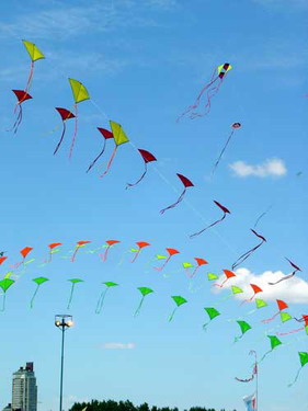 Fiestaviento04