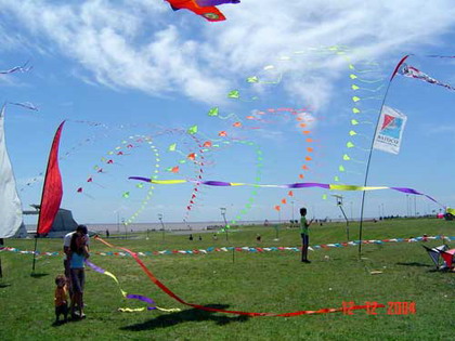 Fiestaviento36